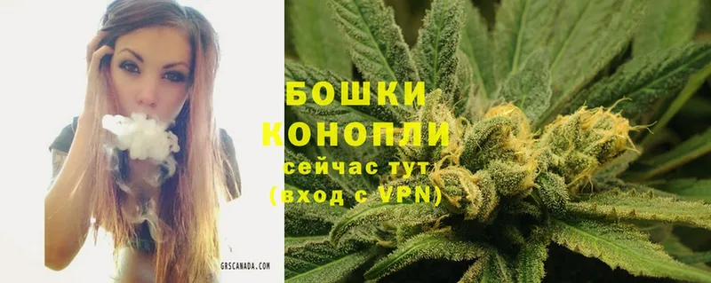 МАРИХУАНА Ganja  Пучеж 